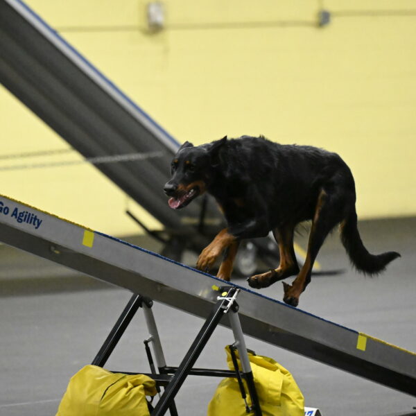 Ulla-Bourell-Casey-06340