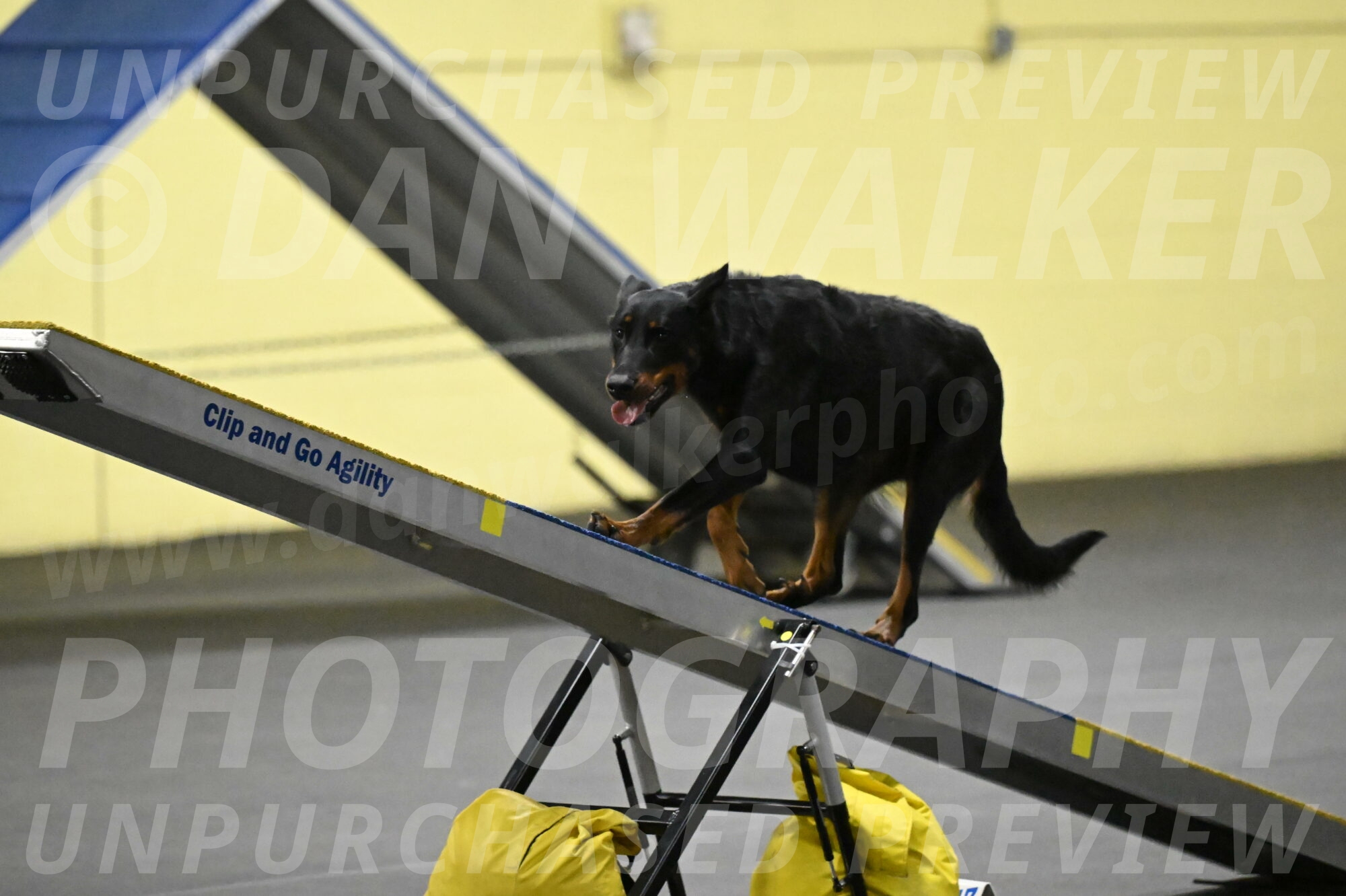 Ulla-Bourell-Casey-06341