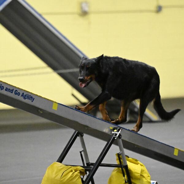 Ulla-Bourell-Casey-06341