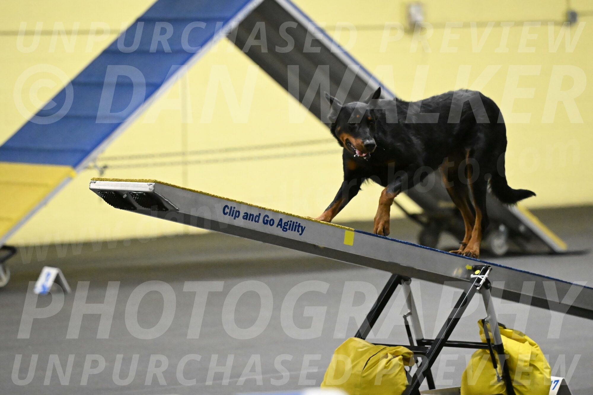 Ulla-Bourell-Casey-06344