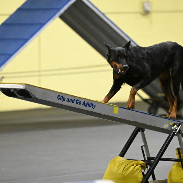 Ulla-Bourell-Casey-06344