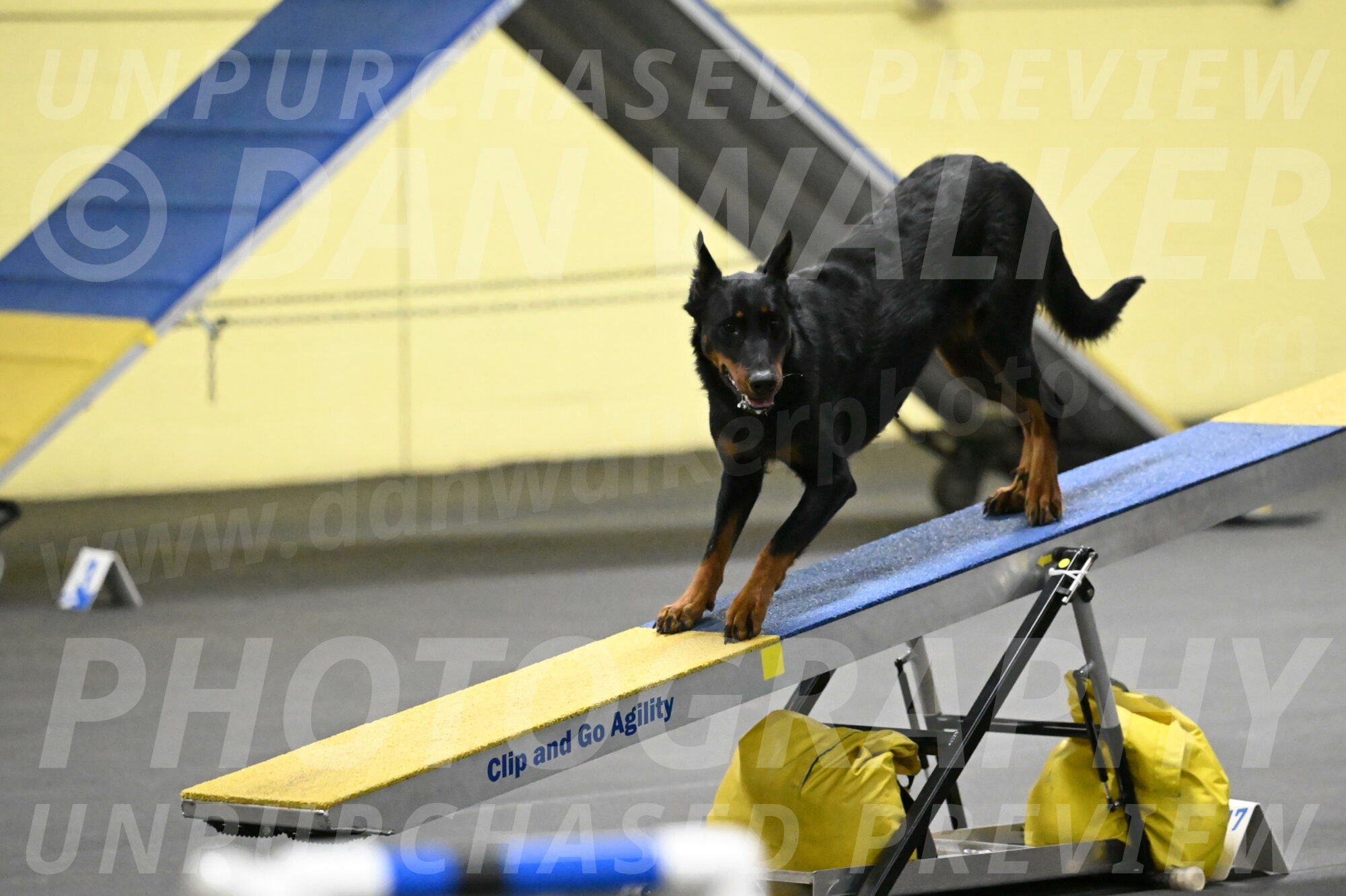 Ulla-Bourell-Casey-06345