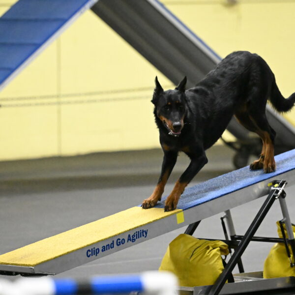 Ulla-Bourell-Casey-06345