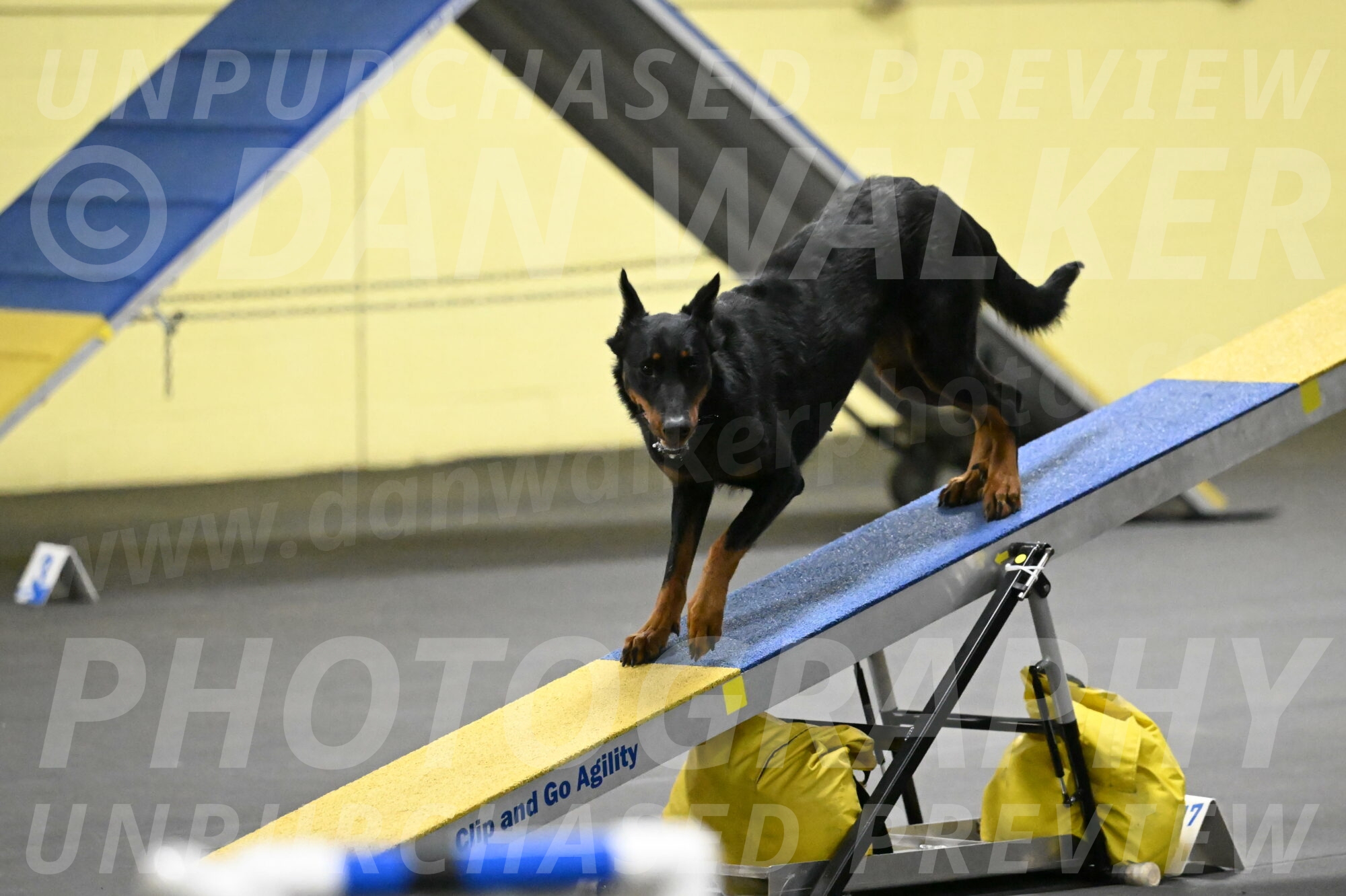 Ulla-Bourell-Casey-06346