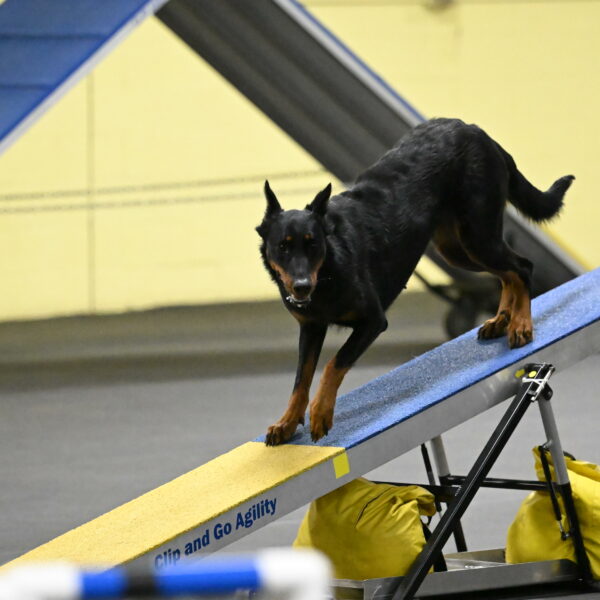 Ulla-Bourell-Casey-06346