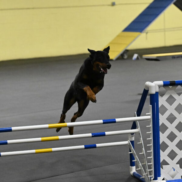 Ulla-Bourell-Casey-06355