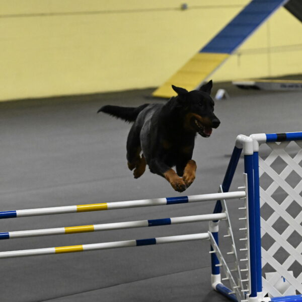 Ulla-Bourell-Casey-06357