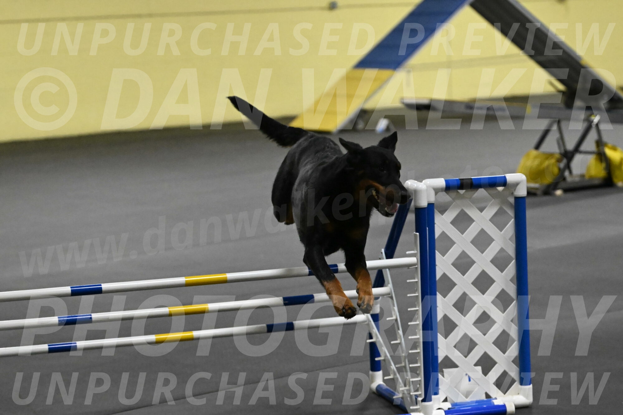 Ulla-Bourell-Casey-06358