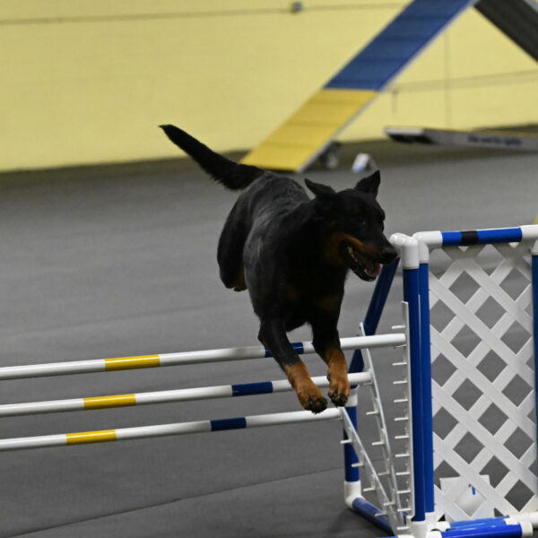 Ulla-Bourell-Casey-06358