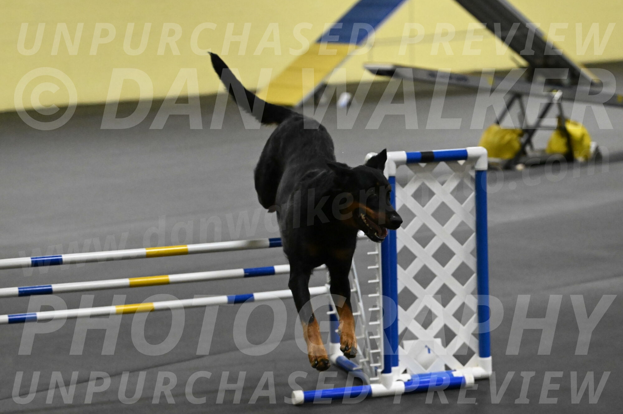 Ulla-Bourell-Casey-06359