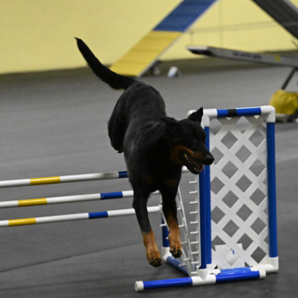 Ulla-Bourell-Casey-06359