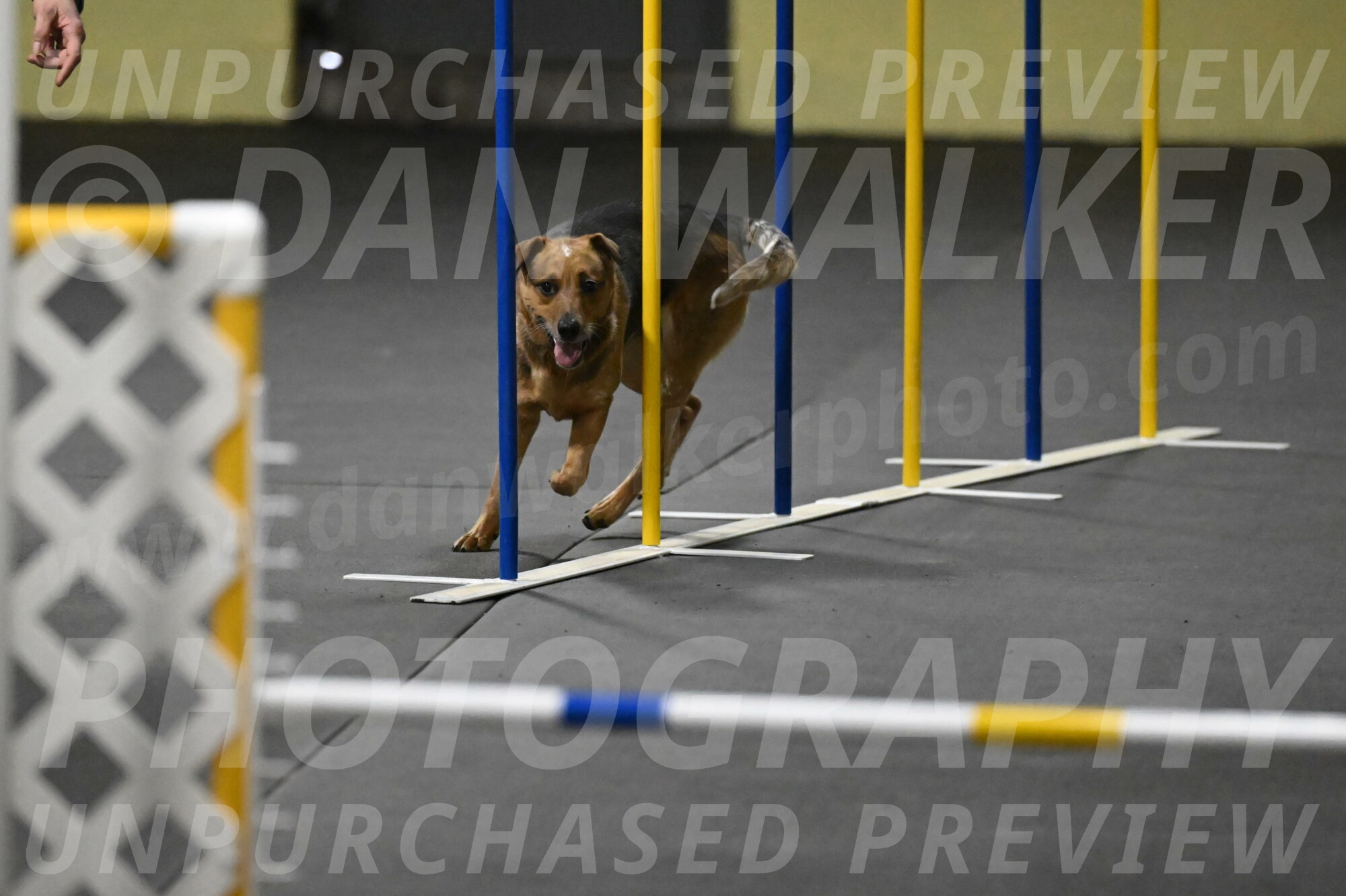 Valley-Johnson-10840