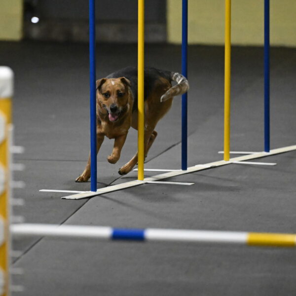 Valley-Johnson-10840