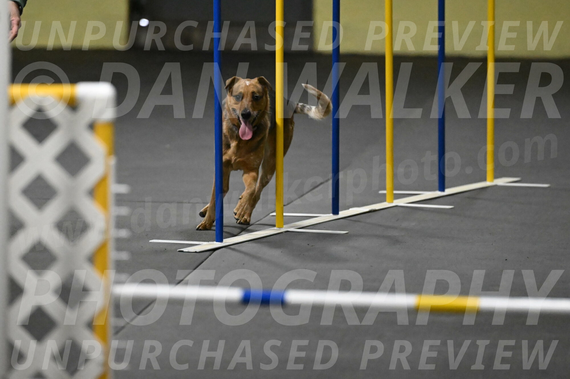 Valley-Johnson-10841