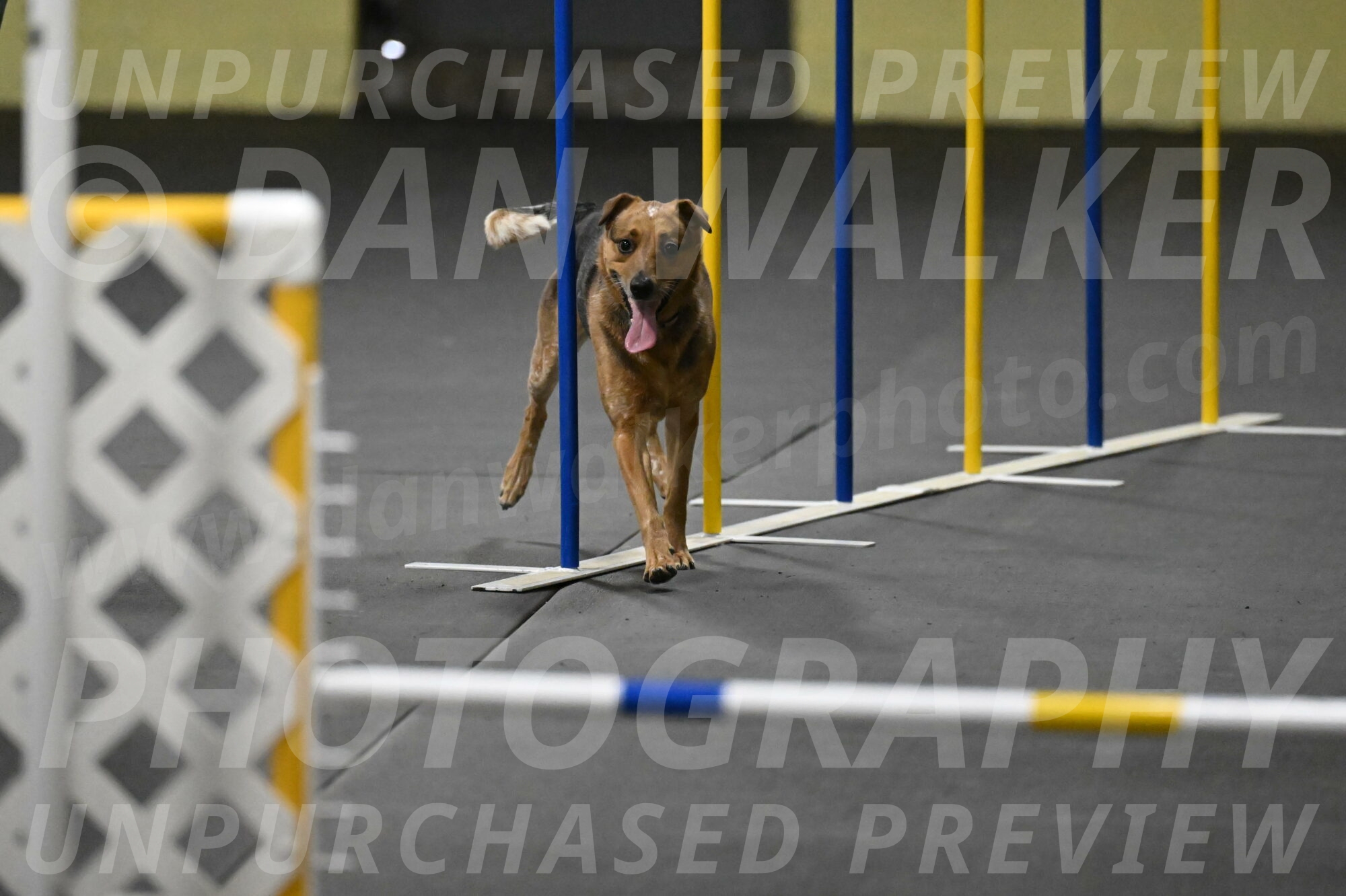 Valley-Johnson-10843