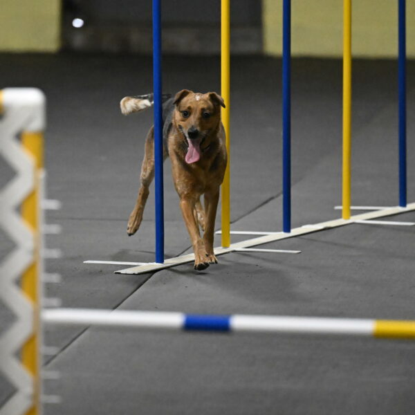 Valley-Johnson-10843