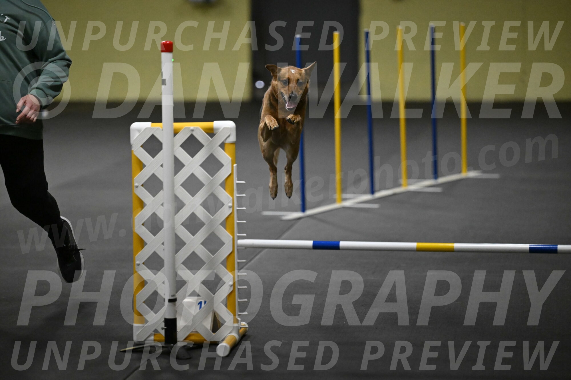 Valley-Johnson-10844