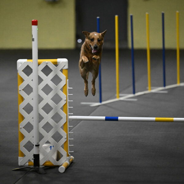 Valley-Johnson-10844