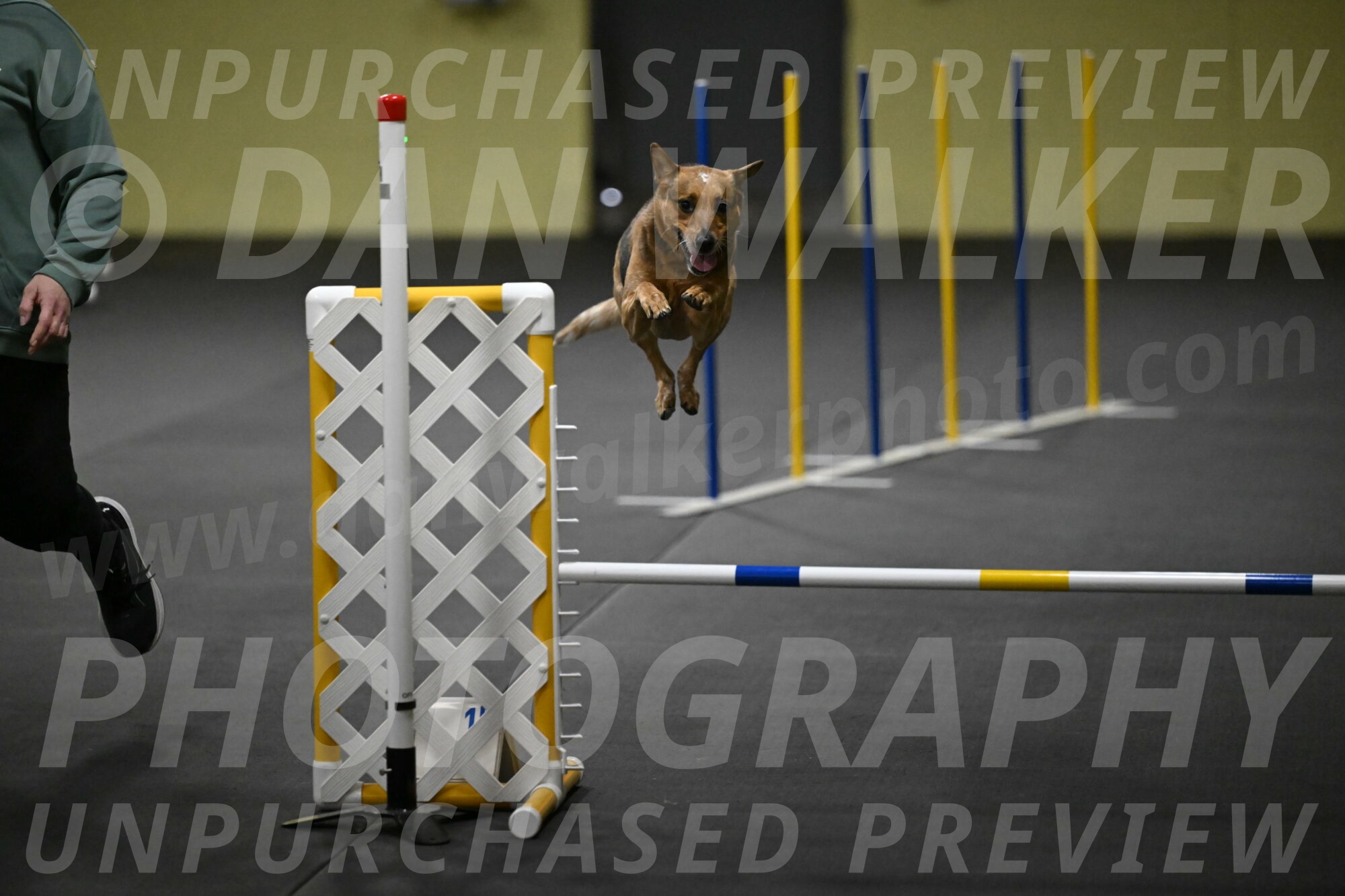 Valley-Johnson-10845