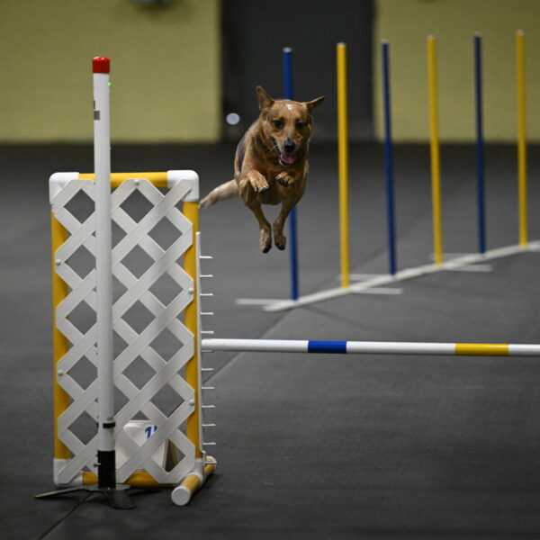 Valley-Johnson-10845