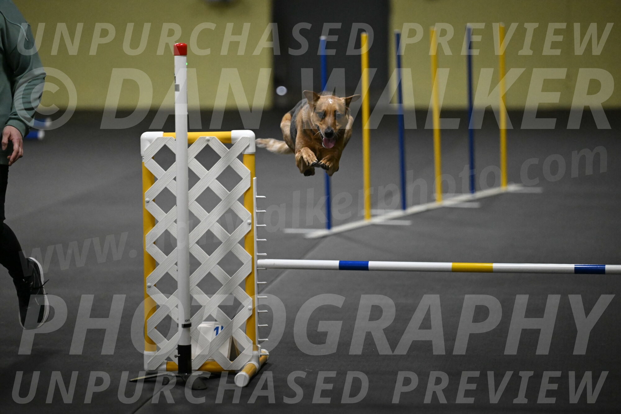 Valley-Johnson-10846