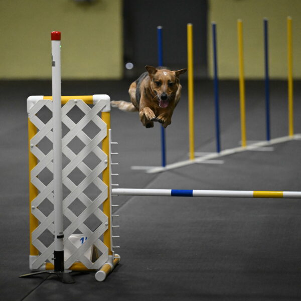 Valley-Johnson-10846