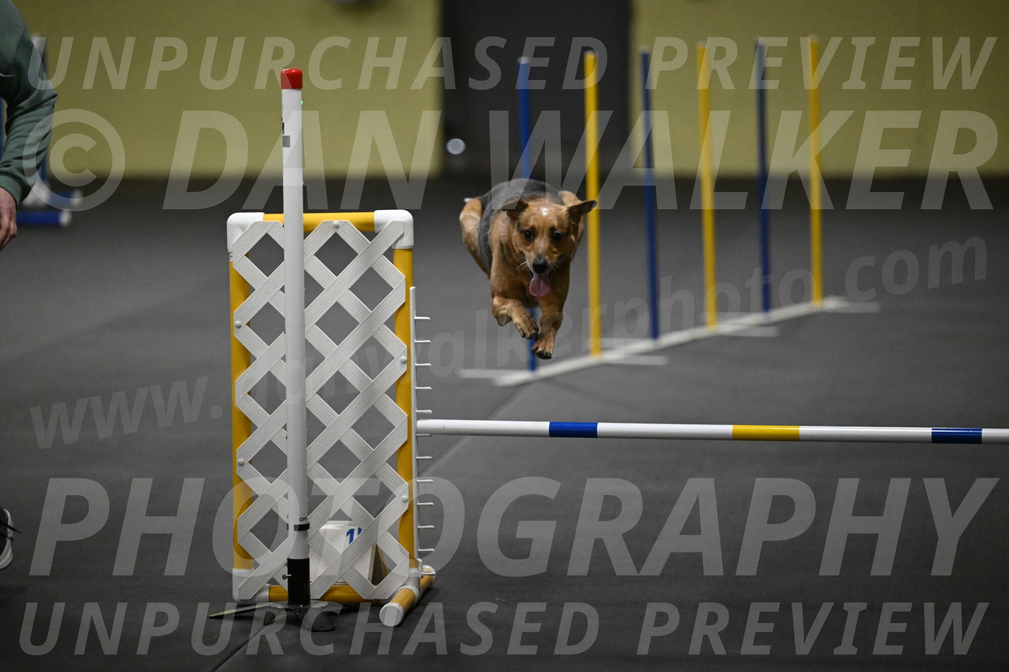 Valley-Johnson-10847