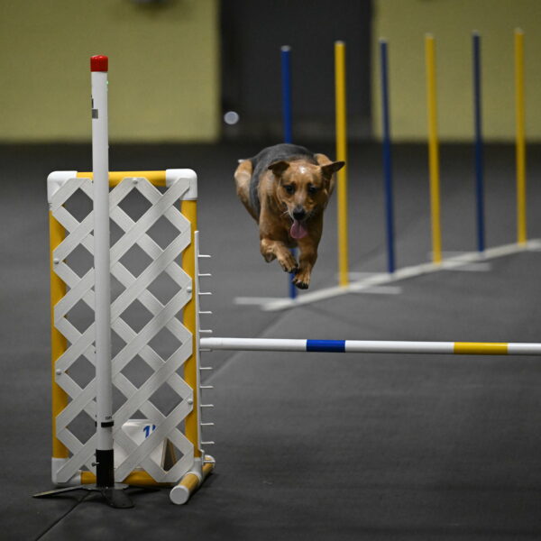 Valley-Johnson-10847