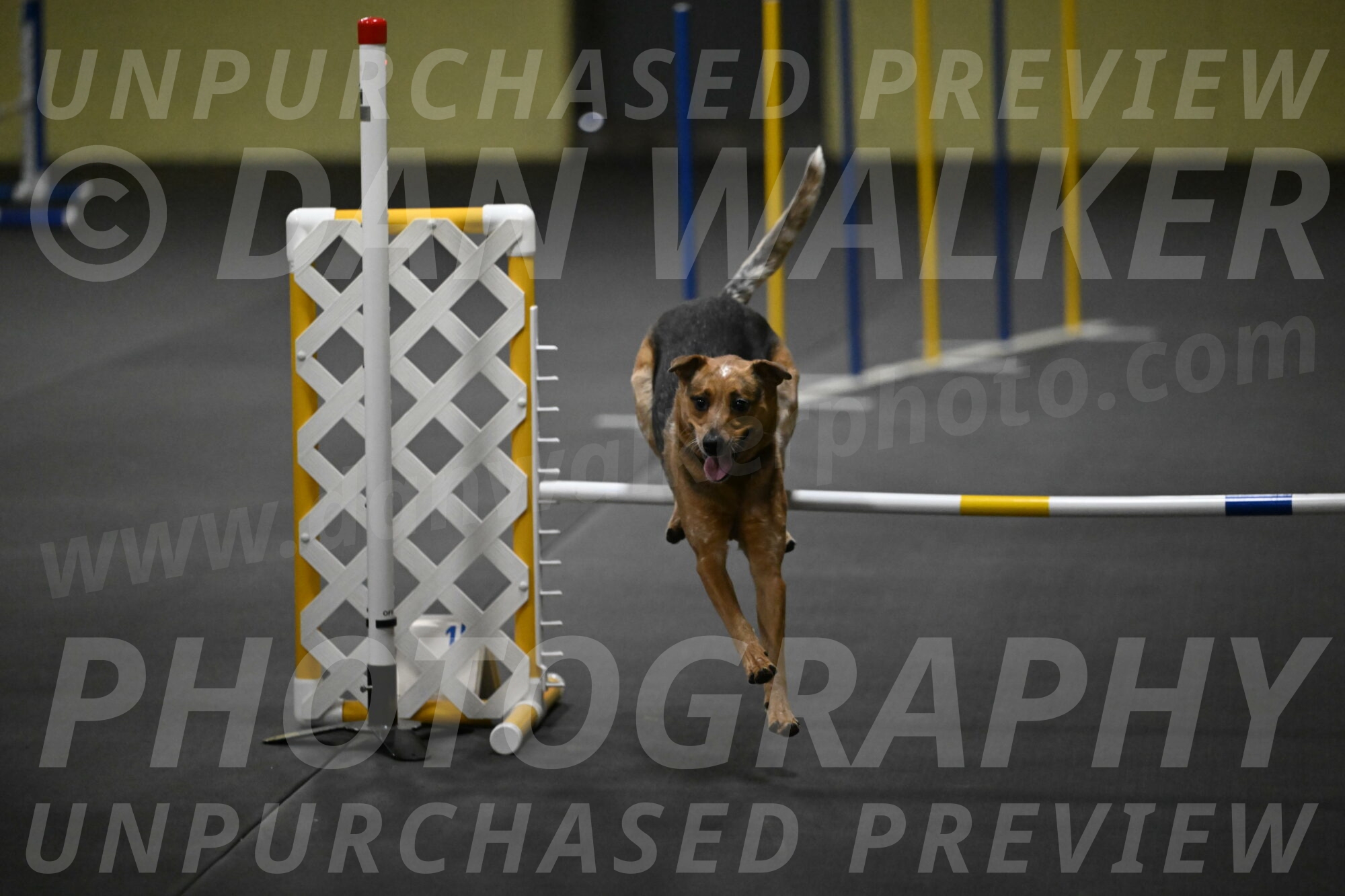 Valley-Johnson-10849