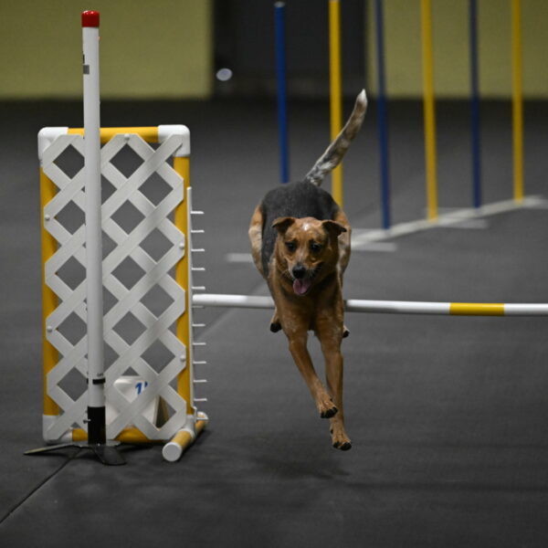 Valley-Johnson-10849