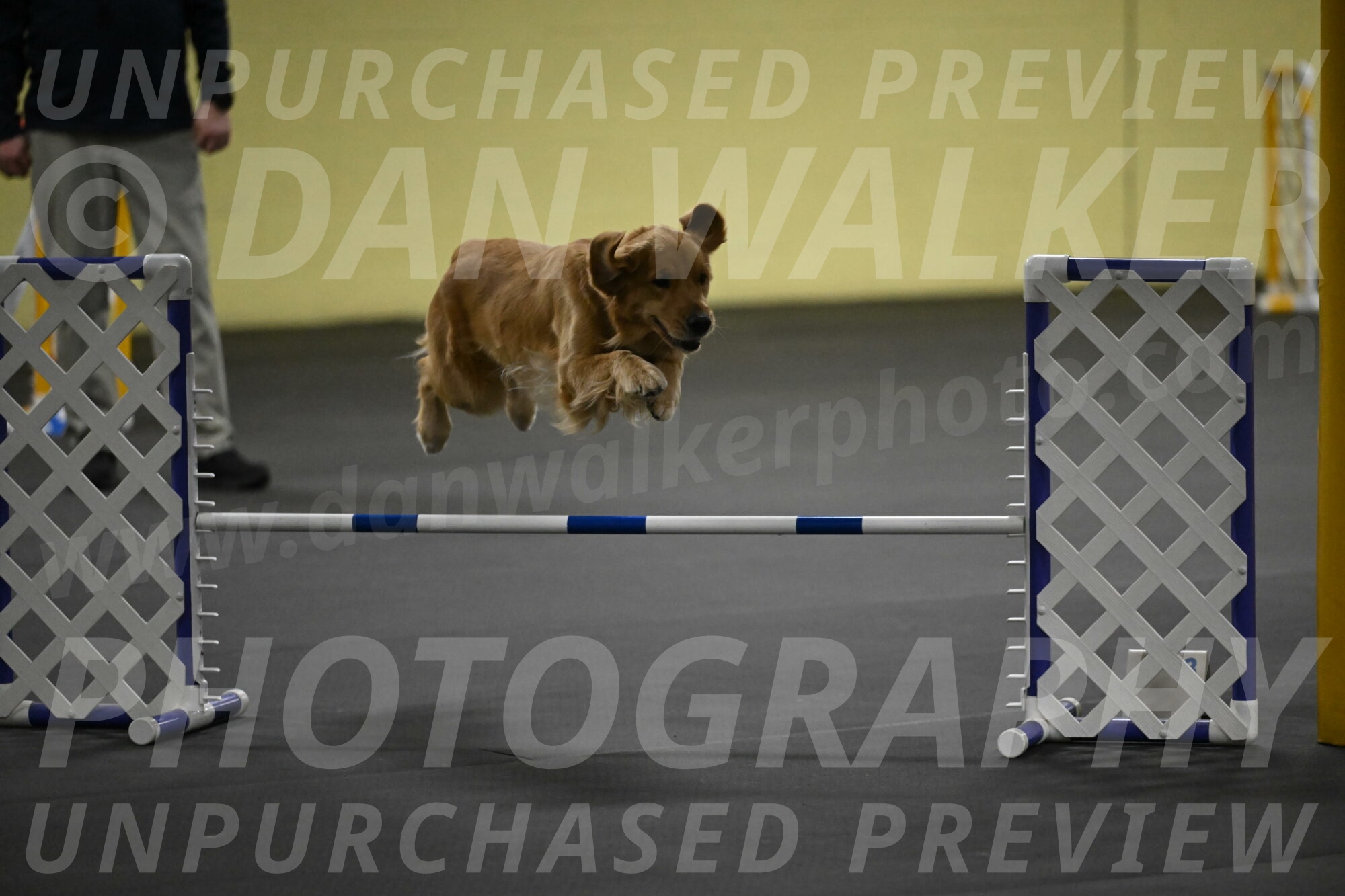 Valley-Johnson-10858