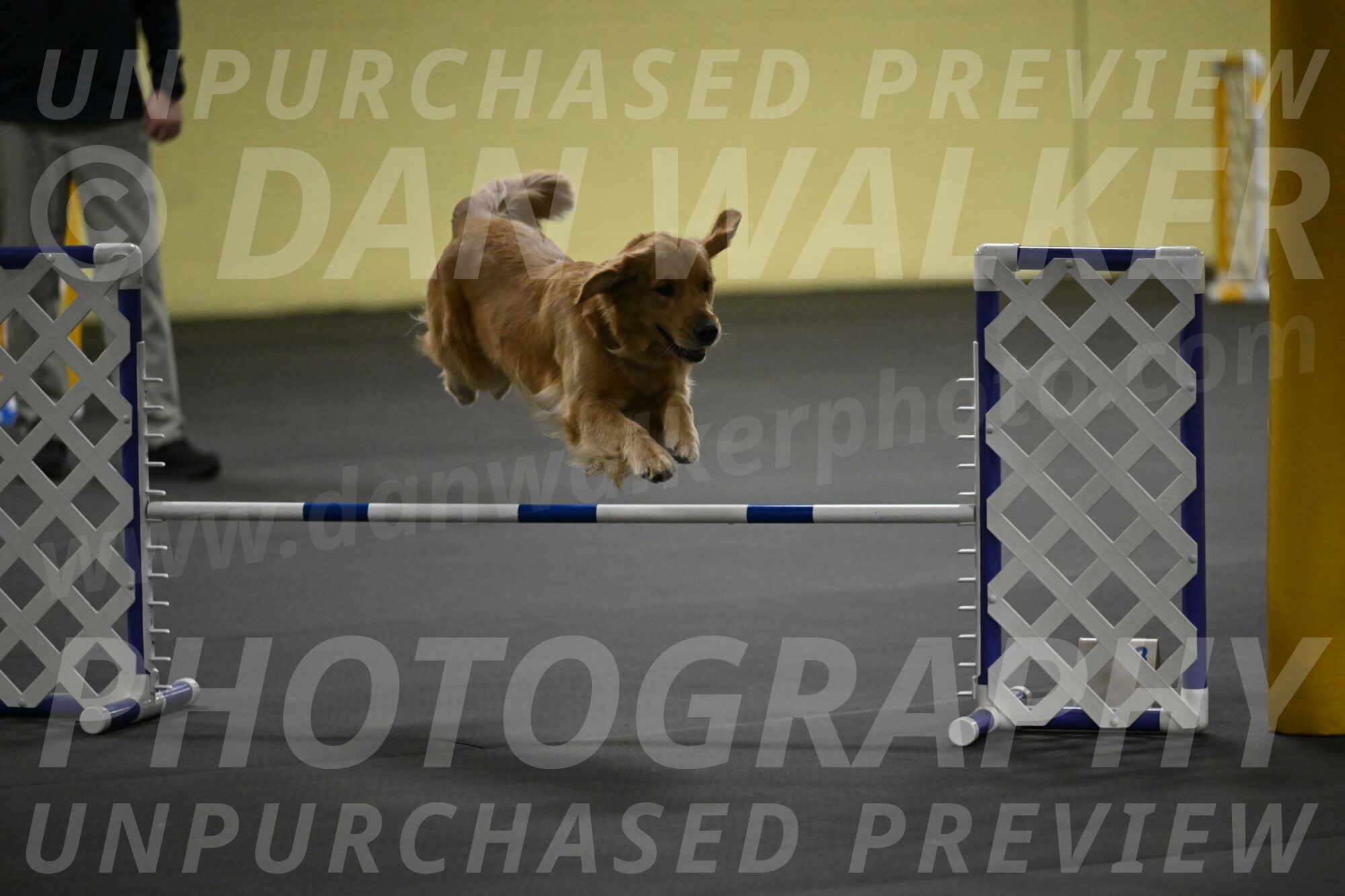 Valley-Johnson-10859