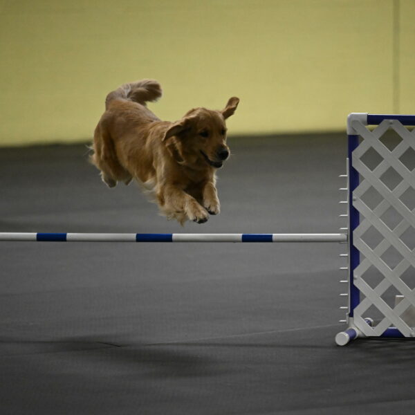 Valley-Johnson-10859