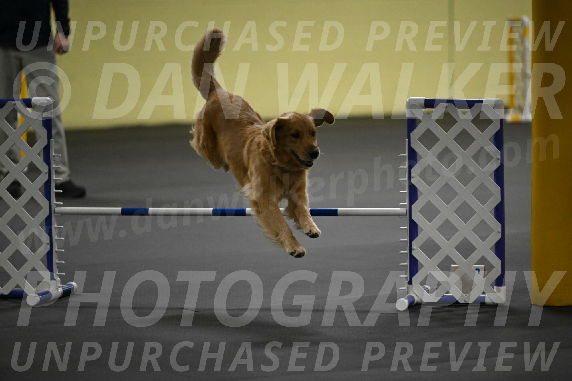 Valley-Johnson-10860