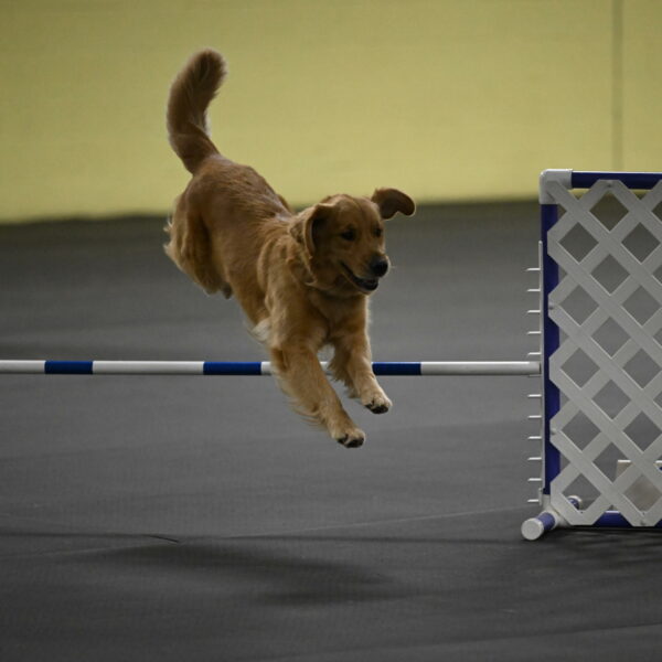 Valley-Johnson-10860