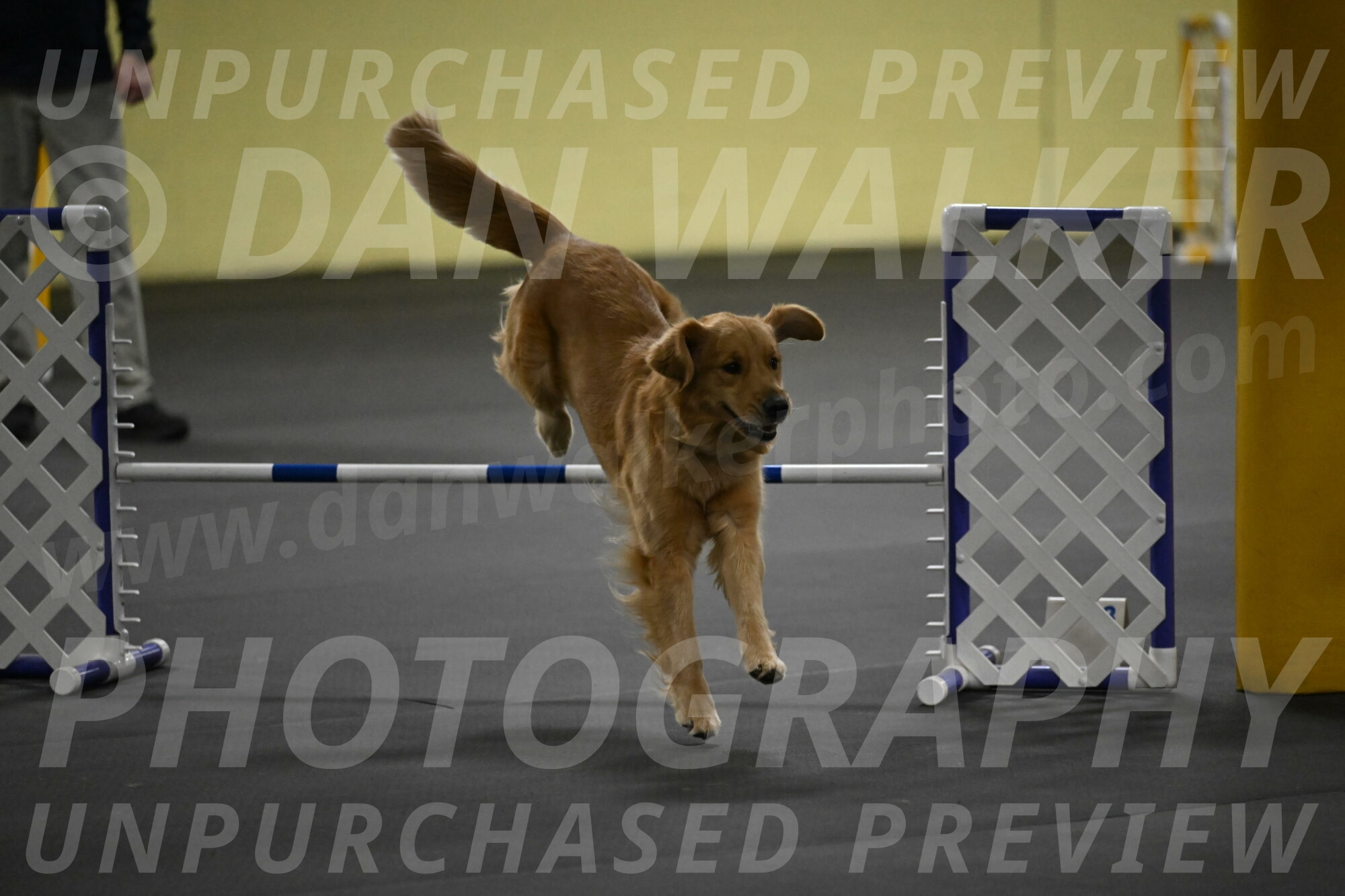 Valley-Johnson-10861