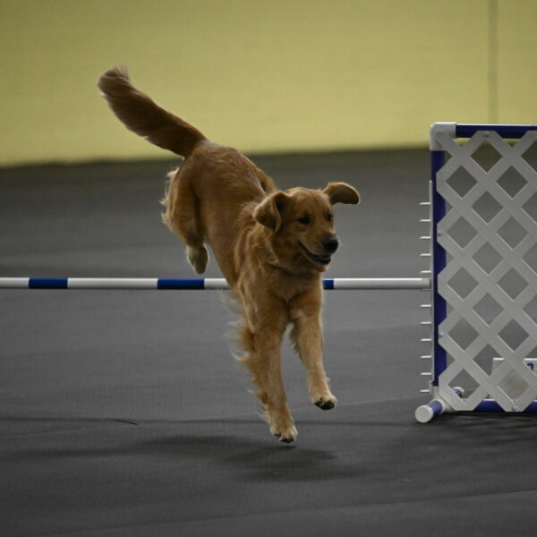 Valley-Johnson-10861