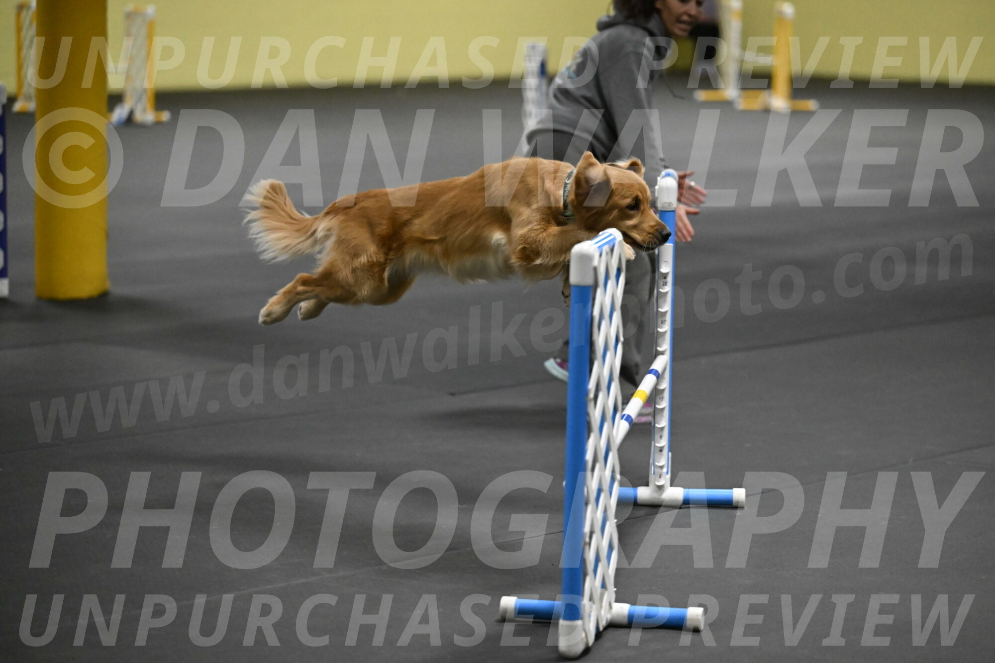 Valley-Johnson-10862