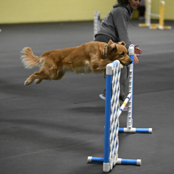 Valley-Johnson-10862