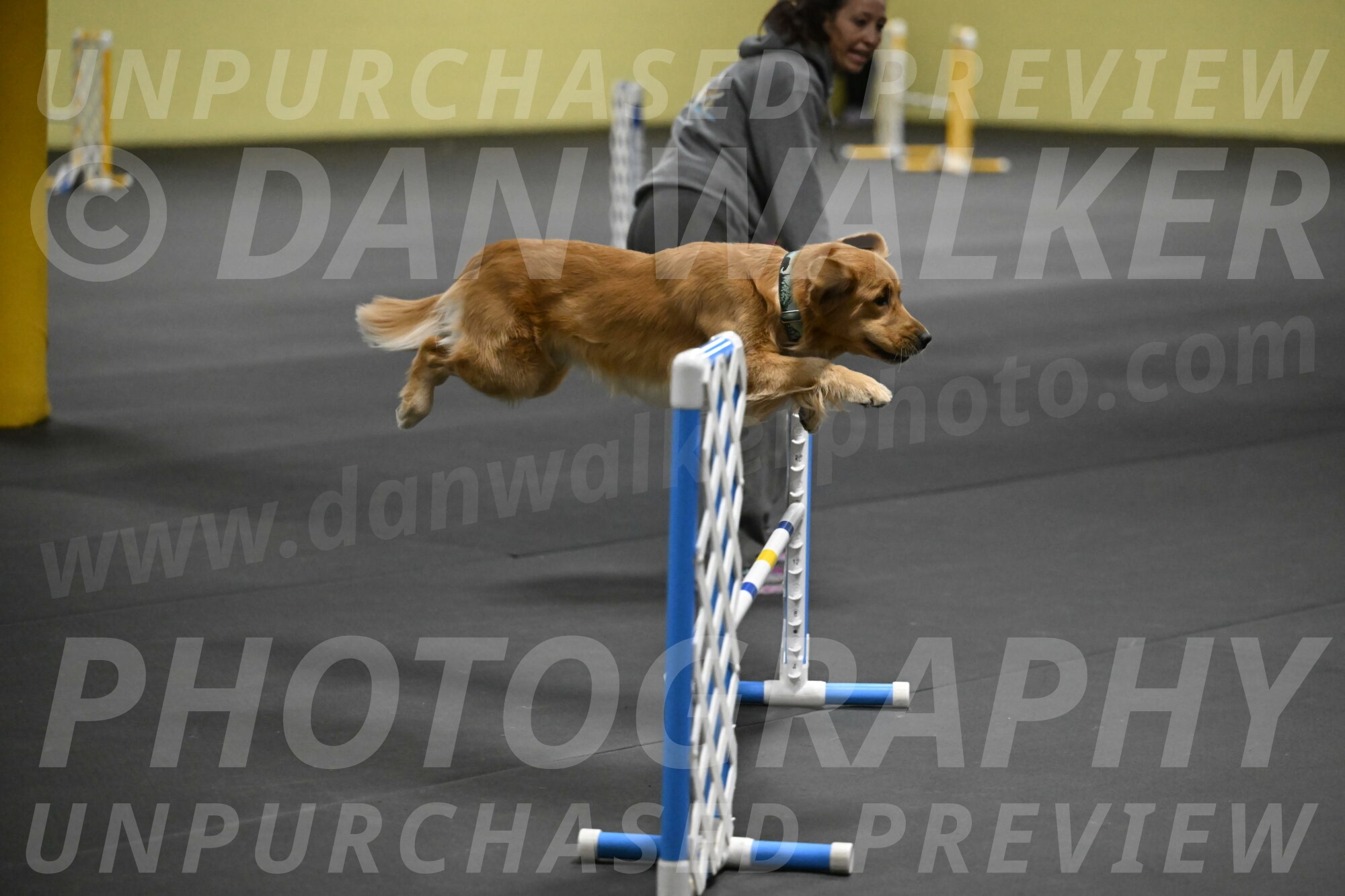 Valley-Johnson-10863