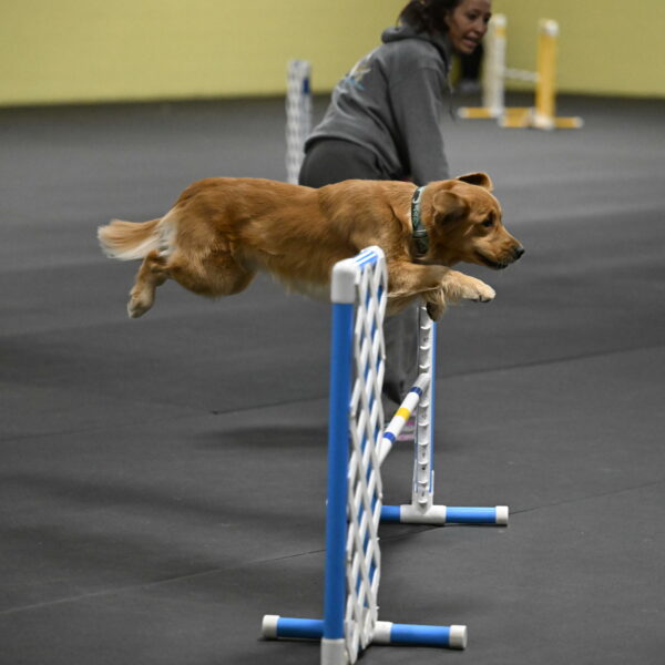 Valley-Johnson-10863