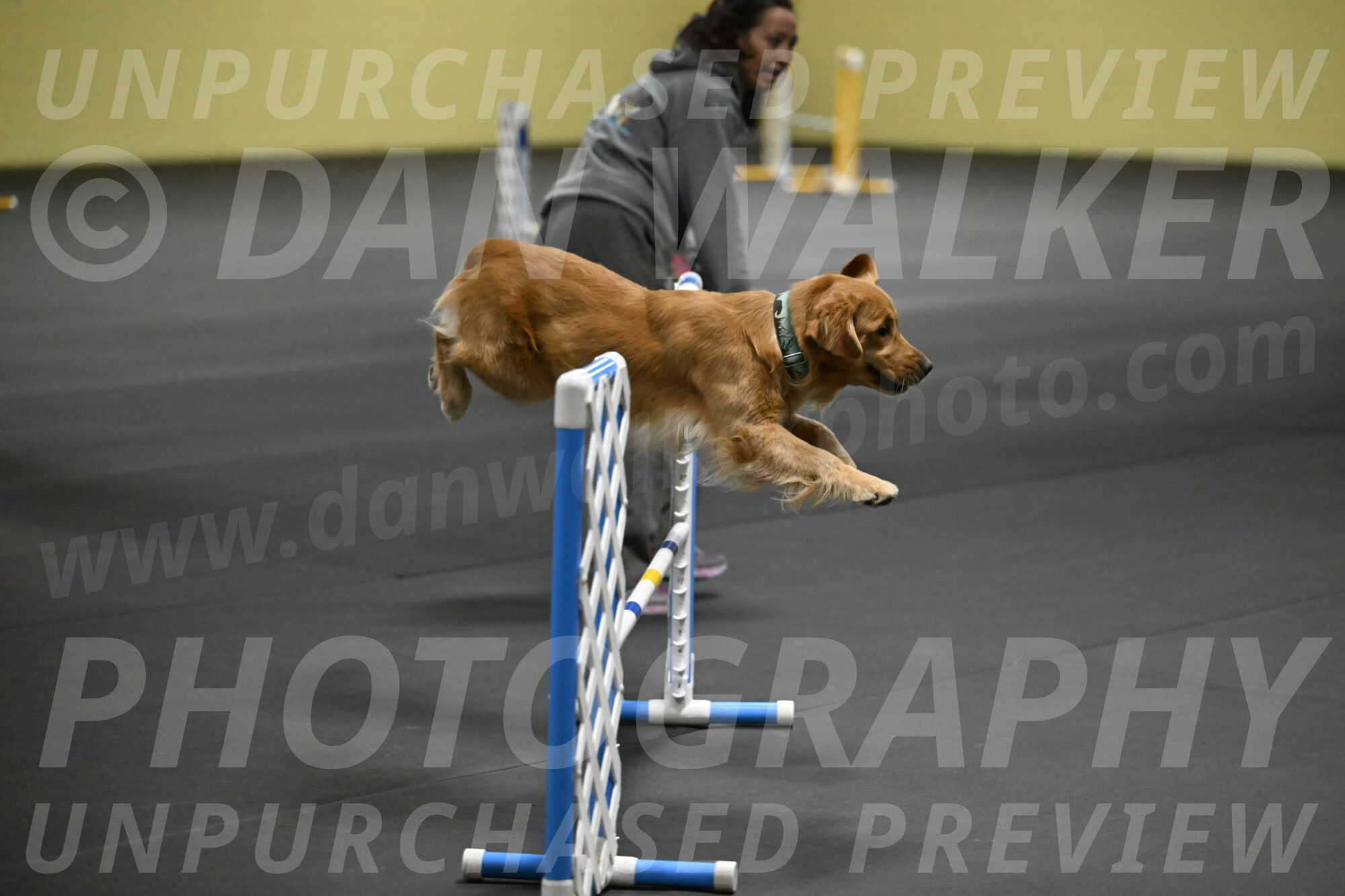 Valley-Johnson-10864