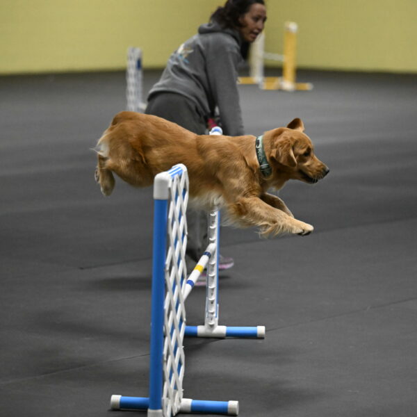 Valley-Johnson-10864