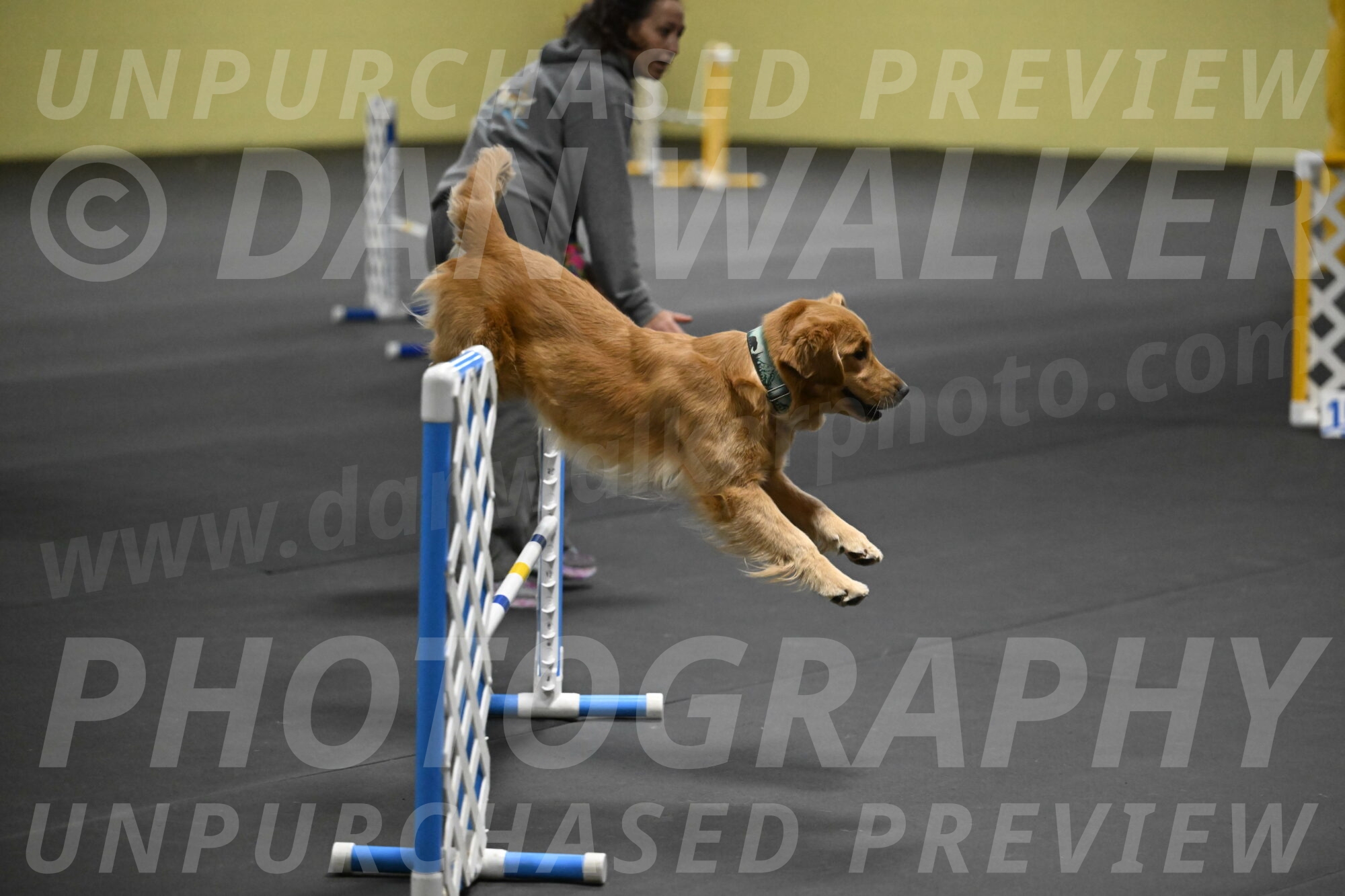 Valley-Johnson-10865