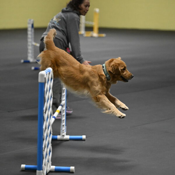 Valley-Johnson-10865