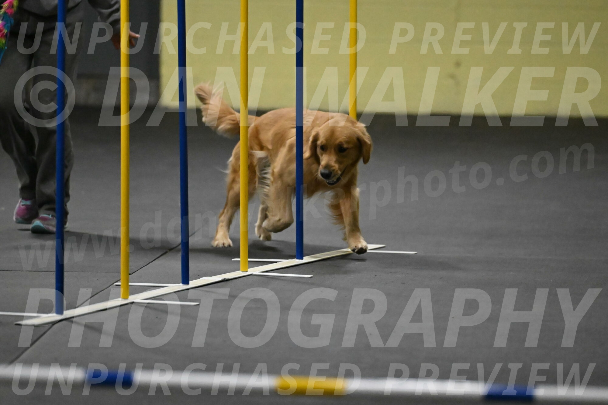 Valley-Johnson-10869