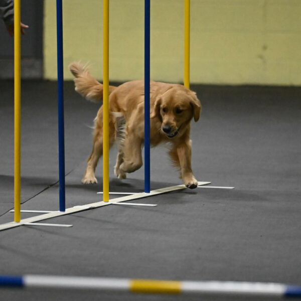 Valley-Johnson-10869