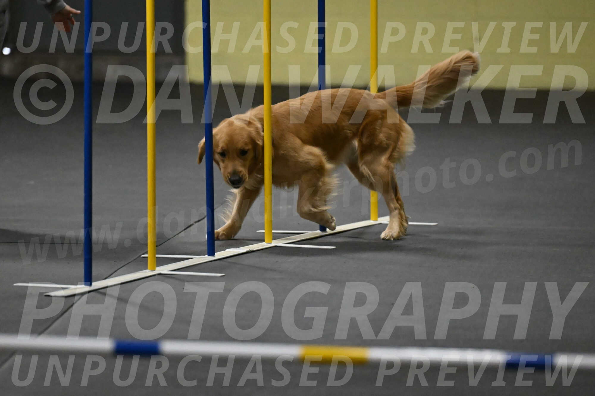 Valley-Johnson-10877