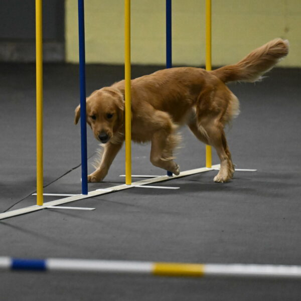 Valley-Johnson-10877