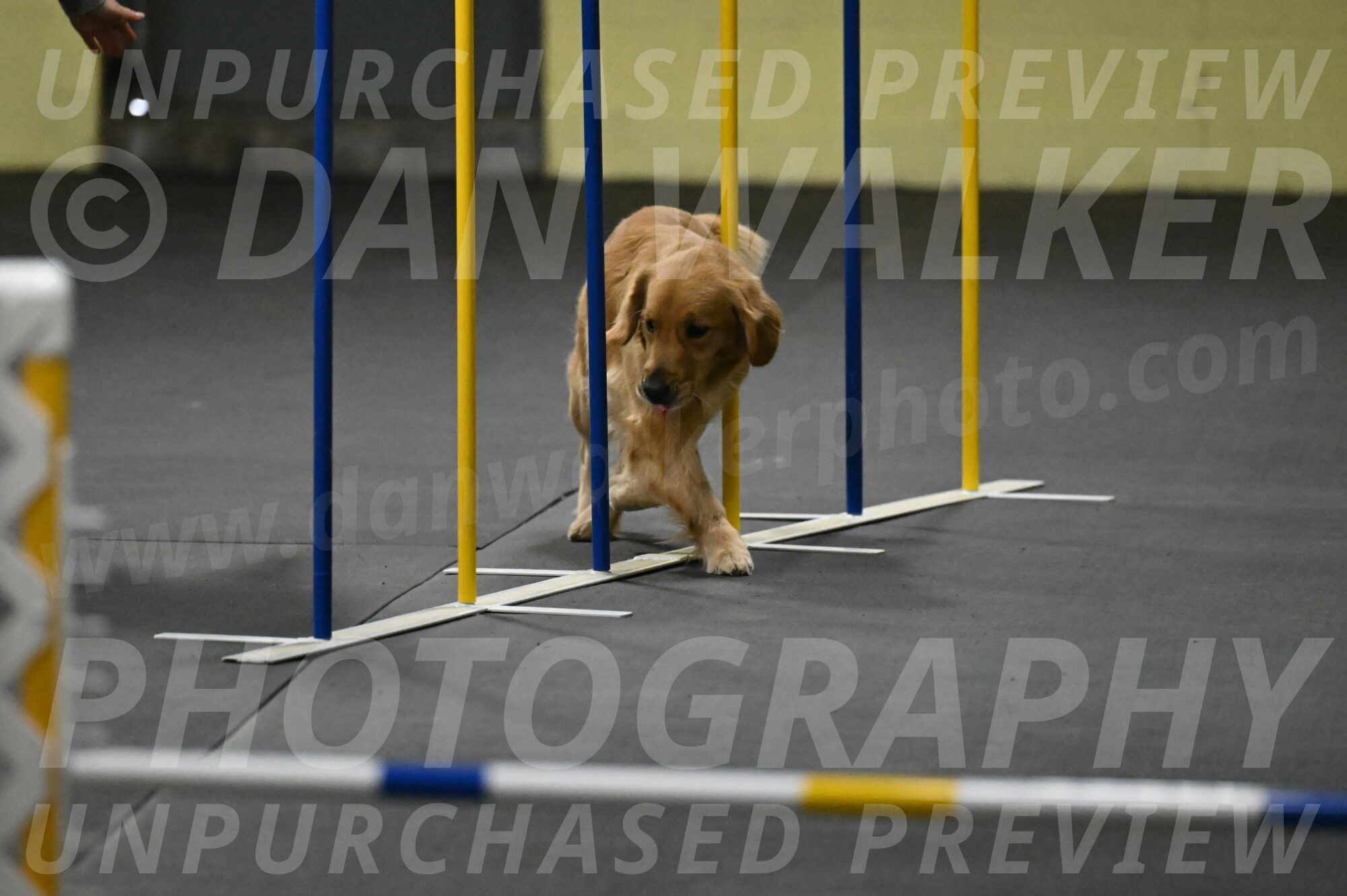 Valley-Johnson-10882